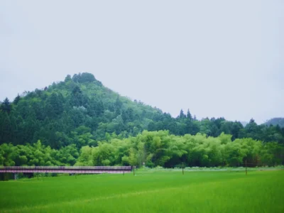 countryside landscape view from thatched roof villa in Miyama Kyoto
