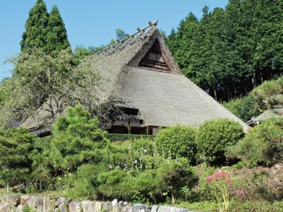 thatched house surrounded by green forest in Miyama Kyoto