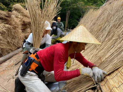 Traditional thatching work on a Japanese kayabuki roof