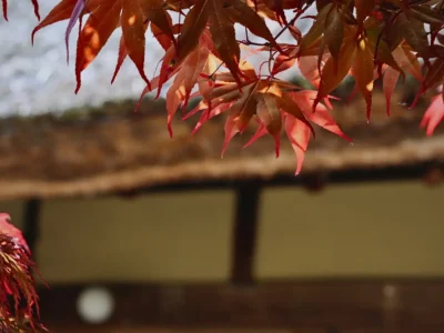 Autumn landscape around Mitoya traditional farmhouse in Miyama Kyoto