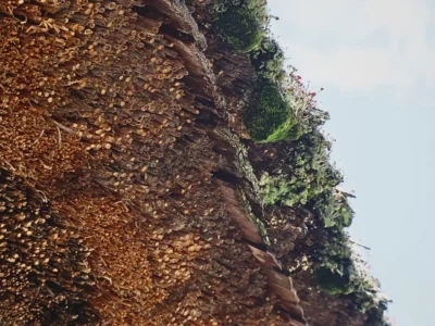 Thatched roof eaves of Mitoya traditional farmhouse Miyama Kyoto