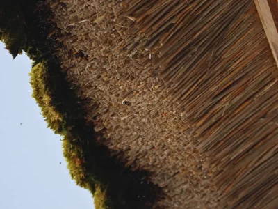 Thatched roof eaves of KAYA VILLA in Miyama Kyoto