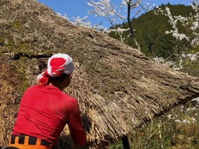Haruo Nishio repairing a traditional Japanese thatched roof in spring