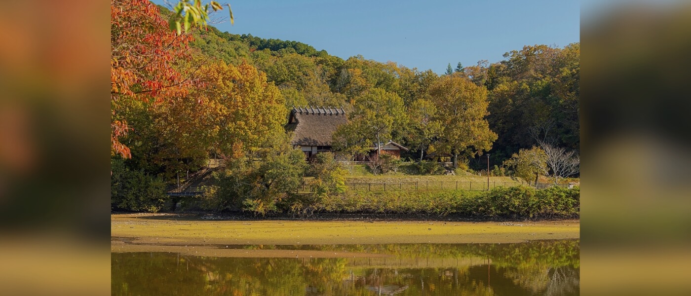 Traditional Japanese thatched-roof farmhouse in autumn