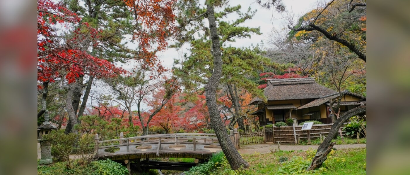 Traditional Japanese thatched-roof house surrounded by autumn foliage