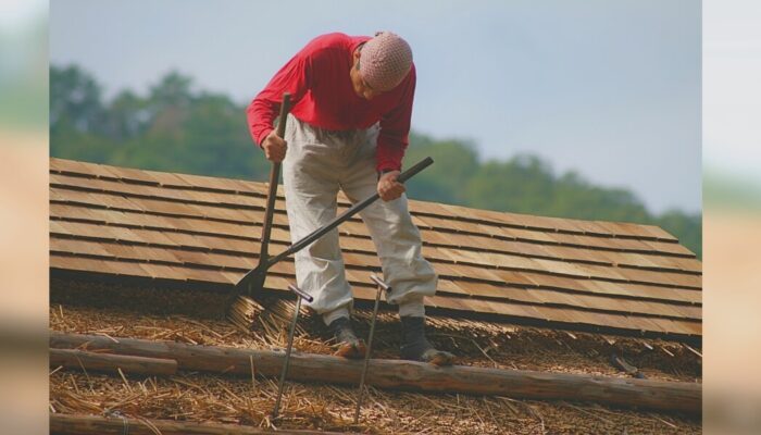 Japanese master thatcher cutting grass for traditional thatching