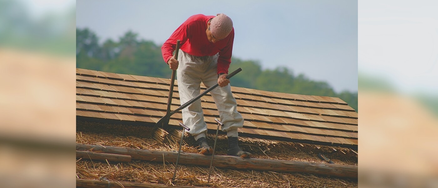 Japanese master thatcher cutting grass for traditional thatching