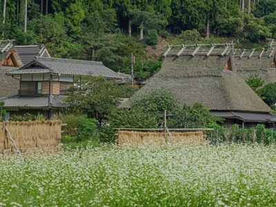 Traditional thatched-roof houses in Kita Village, Miyama, Kyoto
