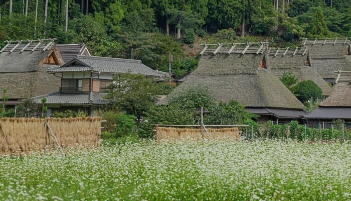 Traditional thatched-roof houses in Kita Village, Miyama, Kyoto