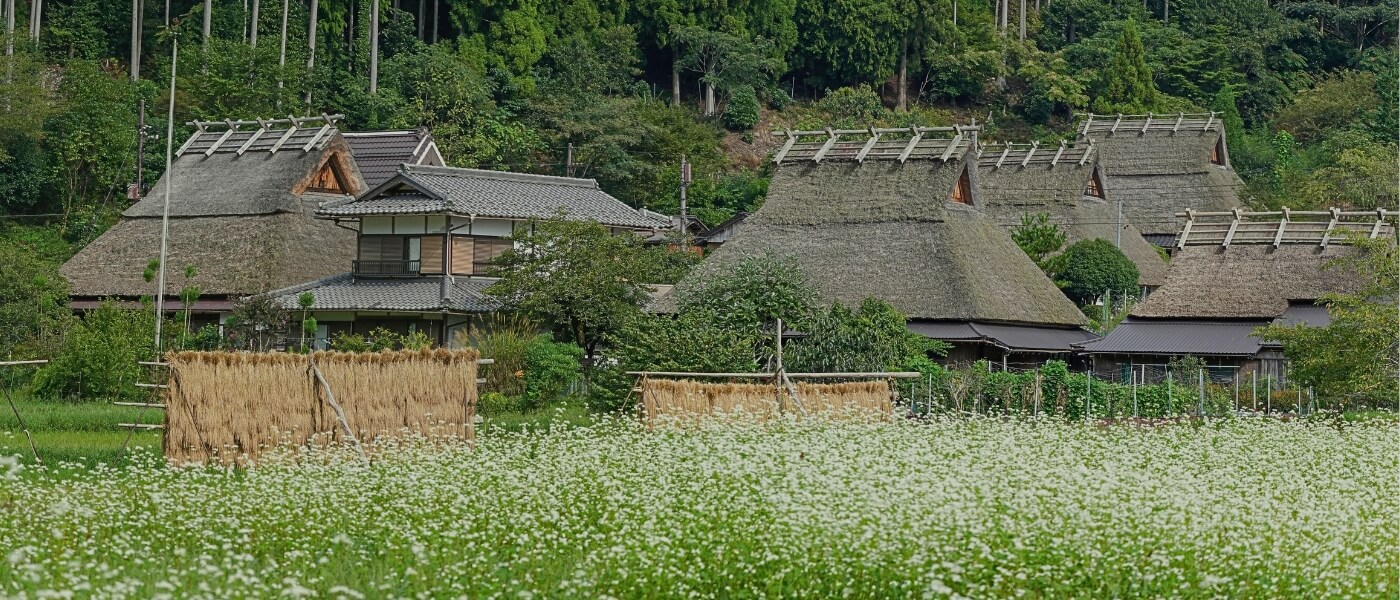 Traditional thatched-roof houses in Kita Village, Miyama, Kyoto