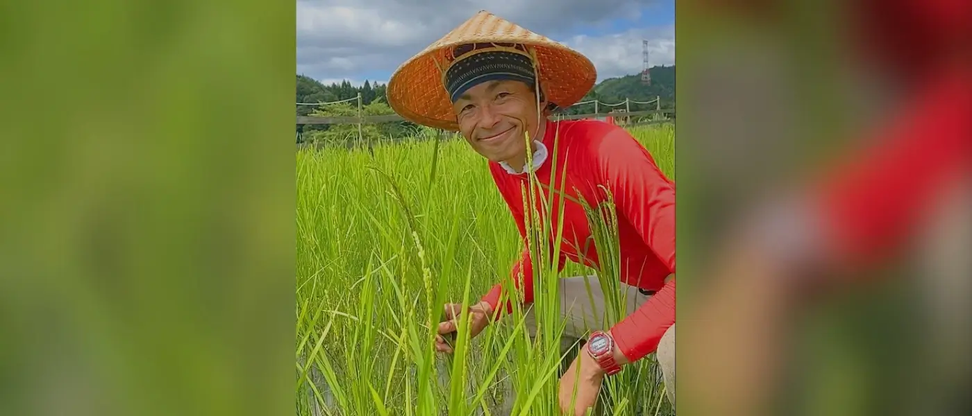 Traditional rice fields in Miyama village, Kyoto, surrounded by the landscape of rural Japan.