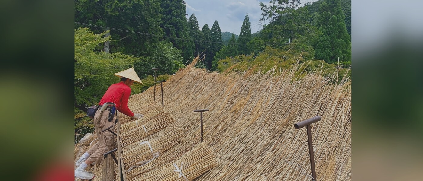 Japanese master thatcher working on a traditional thatched roof